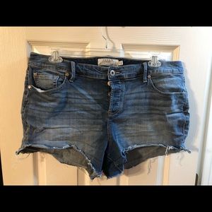 Torrid short shorts
